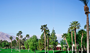 Green Hills / Forest Hills / Oak Hill Photo